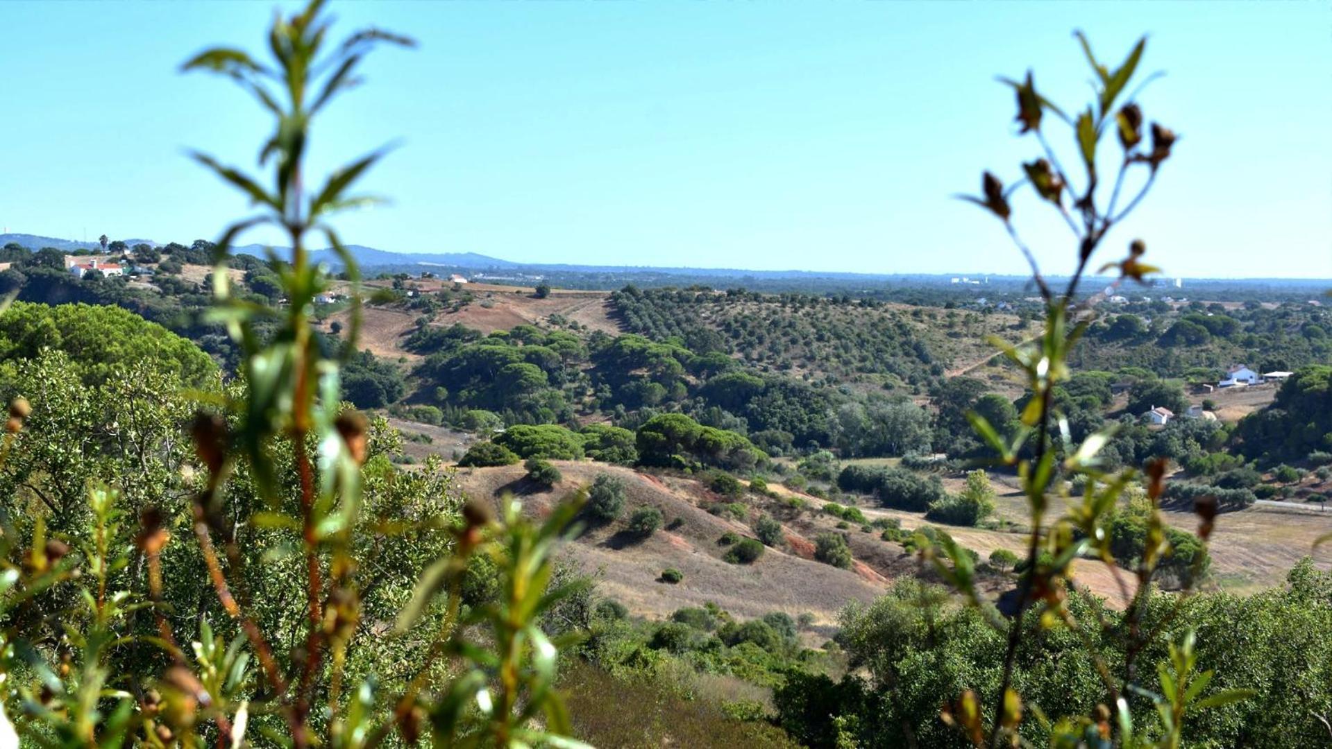 Monte Sardinha Santiago do Cacém Exterior foto